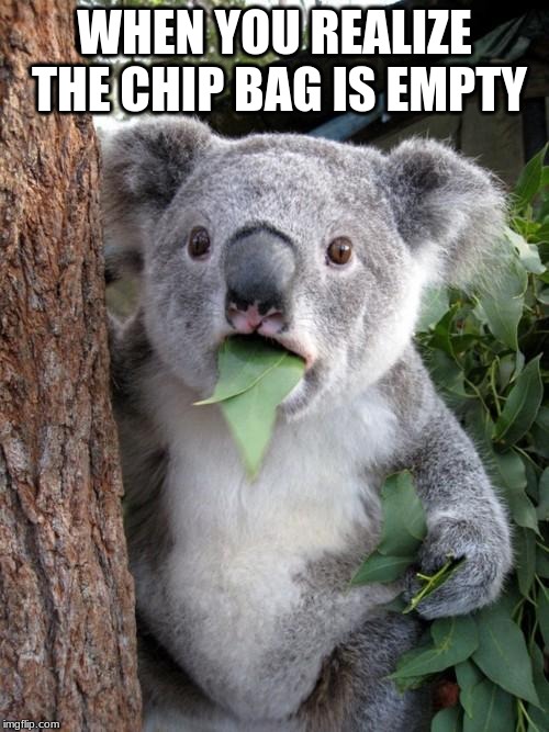 chip bag charles | WHEN YOU REALIZE THE CHIP BAG IS EMPTY | image tagged in memes,funny,chips,shocked koala | made w/ Imgflip meme maker