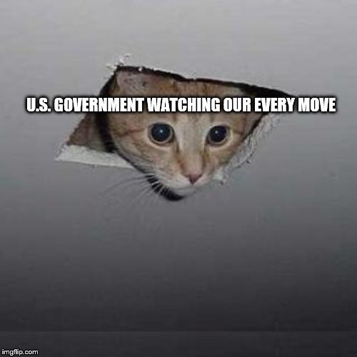 Ceiling Cat | U.S. GOVERNMENT WATCHING OUR EVERY MOVE | image tagged in memes,ceiling cat | made w/ Imgflip meme maker