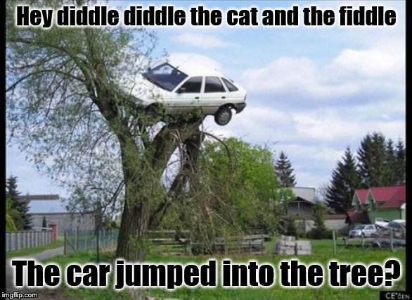 Secure Parking | Hey diddle diddle the cat and the fiddle; The car jumped into the tree? | image tagged in memes,secure parking | made w/ Imgflip meme maker