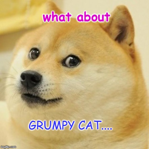 Doge | what about; GRUMPY CAT.... | image tagged in memes,doge | made w/ Imgflip meme maker