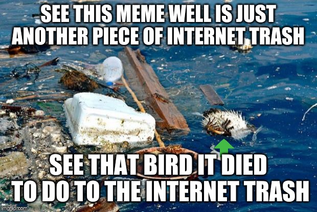 Internet Garbage | SEE THIS MEME WELL IS JUST ANOTHER PIECE OF INTERNET TRASH; SEE THAT BIRD IT DIED TO DO TO THE INTERNET TRASH | image tagged in internet garbage | made w/ Imgflip meme maker
