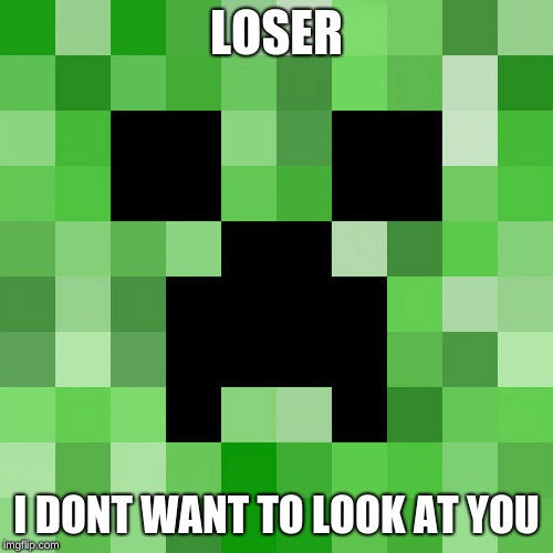 Scumbag Minecraft | LOSER; I DONT WANT TO LOOK AT YOU | image tagged in memes,scumbag minecraft | made w/ Imgflip meme maker