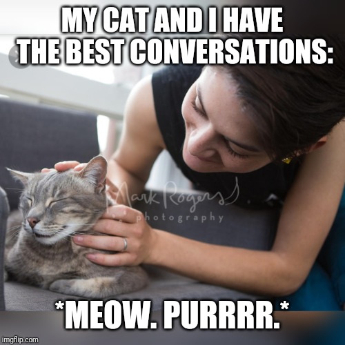 MY CAT AND I HAVE THE BEST CONVERSATIONS:; *MEOW. PURRRR.* | image tagged in cats | made w/ Imgflip meme maker