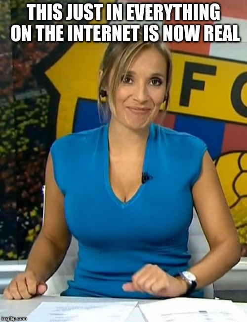 Rocio martinez busty tv news milk | THIS JUST IN EVERYTHING ON THE INTERNET IS NOW REAL | image tagged in rocio martinez busty tv news milk | made w/ Imgflip meme maker