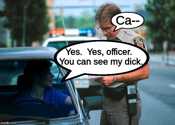 Girls on the r/makenewfriendshere subreddit act like all guys on there be like . . . . | Ca--; Yes.  Yes, officer.  You can see my dick. | image tagged in memes,reddit | made w/ Imgflip meme maker