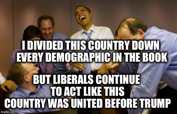 And then I said Obama Meme | I DIVIDED THIS COUNTRY DOWN EVERY DEMOGRAPHIC IN THE BOOK; BUT LIBERALS CONTINUE TO ACT LIKE THIS COUNTRY WAS UNITED BEFORE TRUMP | image tagged in memes,and then i said obama,president trump,liberal logic | made w/ Imgflip meme maker
