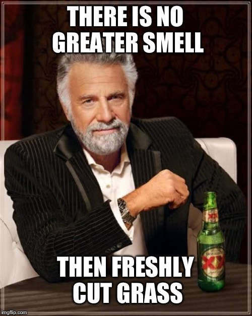 The Most Interesting Man In The World Meme | THERE IS NO GREATER SMELL; THEN FRESHLY CUT GRASS | image tagged in memes,the most interesting man in the world | made w/ Imgflip meme maker