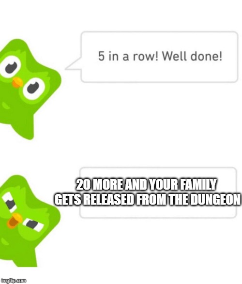 Duolingo 5 in a row | 20 MORE AND YOUR FAMILY GETS RELEASED FROM THE DUNGEON | image tagged in duolingo 5 in a row | made w/ Imgflip meme maker