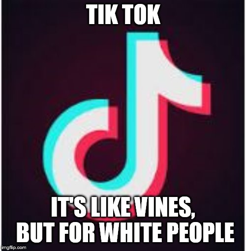 Tik Tok | TIK TOK; IT'S LIKE VINES, BUT FOR WHITE PEOPLE | image tagged in tik tok | made w/ Imgflip meme maker