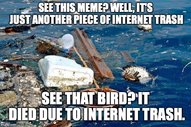 Internet Garbage | SEE THIS MEME? WELL, IT'S JUST ANOTHER PIECE OF INTERNET TRASH SEE THAT BIRD? IT DIED DUE TO INTERNET TRASH. | image tagged in internet garbage | made w/ Imgflip meme maker