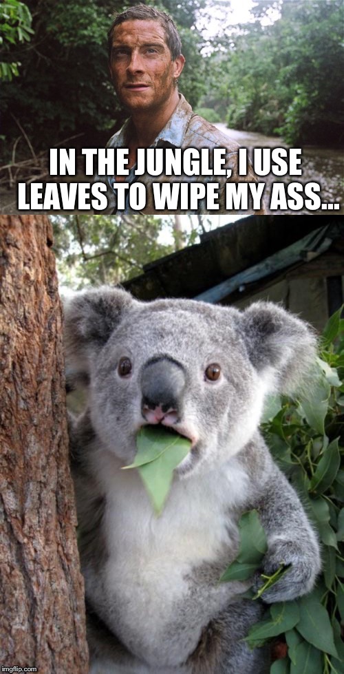 This will piss off some folks :D | image tagged in suprised koala | made w/ Imgflip meme maker