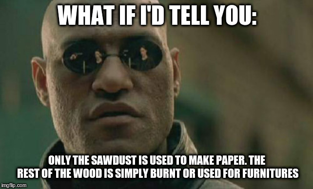 Matrix Morpheus Meme | WHAT IF I'D TELL YOU: ONLY THE SAWDUST IS USED TO MAKE PAPER. THE REST OF THE WOOD IS SIMPLY BURNT OR USED FOR FURNITURES | image tagged in memes,matrix morpheus | made w/ Imgflip meme maker