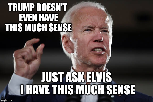 You Sidn' With Biden? | TRUMP DOESN'T EVEN HAVE THIS MUCH SENSE; JUST ASK ELVIS I HAVE THIS MUCH SENSE | image tagged in joe biden,political meme,funny,donald trump,stupid liberals,intelligence | made w/ Imgflip meme maker
