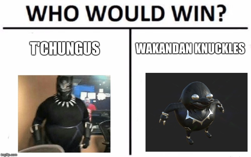 Who Would Win? | T'CHUNGUS; WAKANDAN KNUCKLES | image tagged in memes,who would win | made w/ Imgflip meme maker