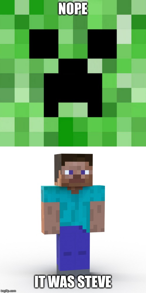 NOPE IT WAS STEVE | image tagged in memes,scumbag minecraft | made w/ Imgflip meme maker