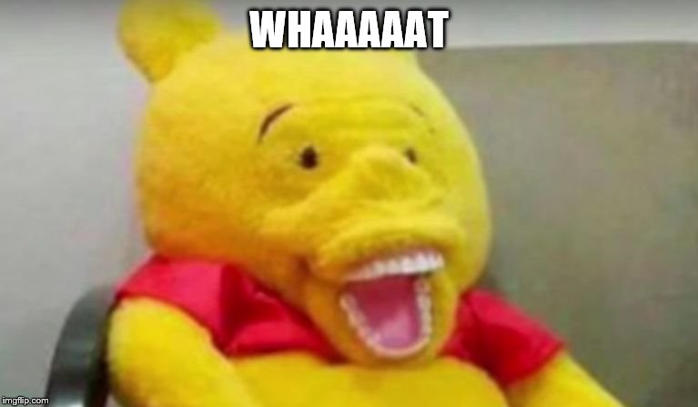 Winnie The Pooh Whaaat | WHAAAAAT | image tagged in winnie the pooh whaaat | made w/ Imgflip meme maker