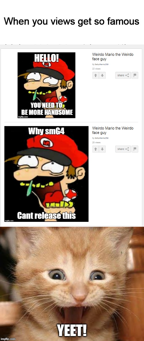 When you views get so famous; YEET! | image tagged in memes,excited cat,weirdo mario | made w/ Imgflip meme maker