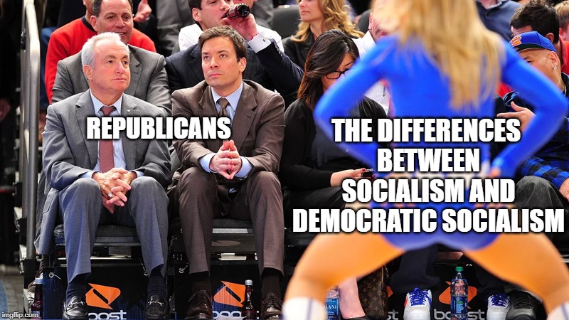 cheerleader Ignore | THE DIFFERENCES BETWEEN SOCIALISM AND DEMOCRATIC SOCIALISM; REPUBLICANS | image tagged in cheerleader ignore | made w/ Imgflip meme maker