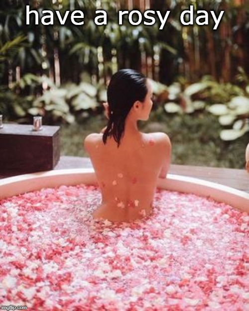 If you have never had a rose petal water soak do it. happy moms day.flip | have a rosy day | image tagged in female form,rose water,jolly up,buttercup,meme | made w/ Imgflip meme maker