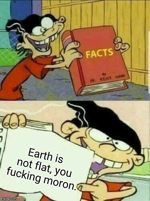 Double d facts book  | Earth is not flat, you f**king moron. | image tagged in double d facts book | made w/ Imgflip meme maker