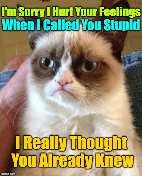 Insults Done To "Purr-fection" ≥^.^≤ | I'm Sorry I Hurt Your Feelings; When I Called You Stupid; I Really Thought You Already Knew | image tagged in memes,grumpy cat,cats,socrates,grumpy cat insults,furry insults | made w/ Imgflip meme maker