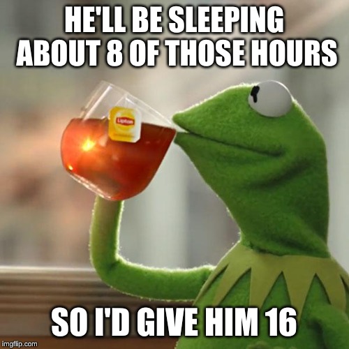 But That's None Of My Business Meme | HE'LL BE SLEEPING ABOUT 8 OF THOSE HOURS SO I'D GIVE HIM 16 | image tagged in memes,but thats none of my business,kermit the frog | made w/ Imgflip meme maker