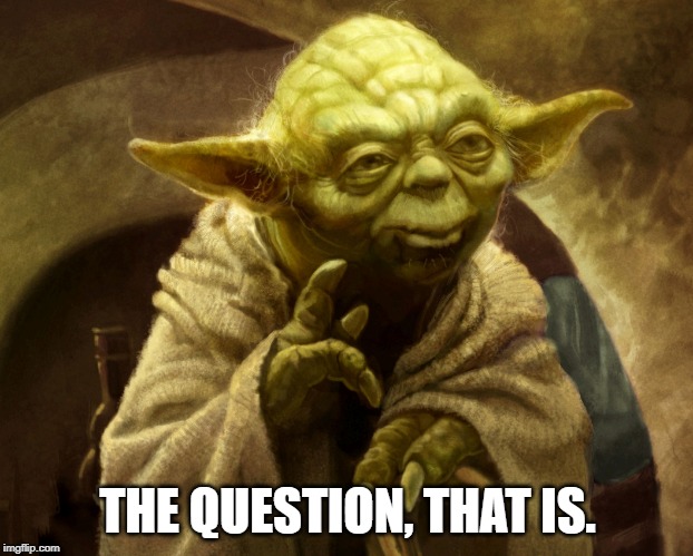 Yoda lifting finger | THE QUESTION, THAT IS. | image tagged in yoda lifting finger | made w/ Imgflip meme maker