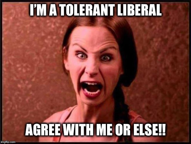 tolerant | I’M A TOLERANT LIBERAL AGREE WITH ME OR ELSE!! | image tagged in tolerant | made w/ Imgflip meme maker