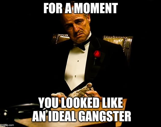 Godfather | FOR A MOMENT YOU LOOKED LIKE AN IDEAL GANGSTER | image tagged in godfather | made w/ Imgflip meme maker