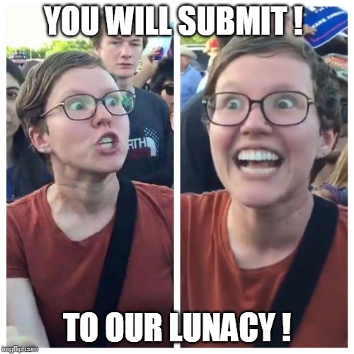 Triggered hypocrite feminist | YOU WILL SUBMIT ! TO OUR LUNACY ! | image tagged in triggered hypocrite feminist | made w/ Imgflip meme maker