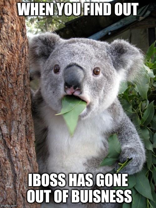 Surprised Koala | WHEN YOU FIND OUT; IBOSS HAS GONE OUT OF BUISNESS | image tagged in memes,surprised koala | made w/ Imgflip meme maker