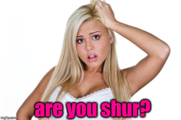 Dumb Blonde | are you shur? | image tagged in dumb blonde | made w/ Imgflip meme maker