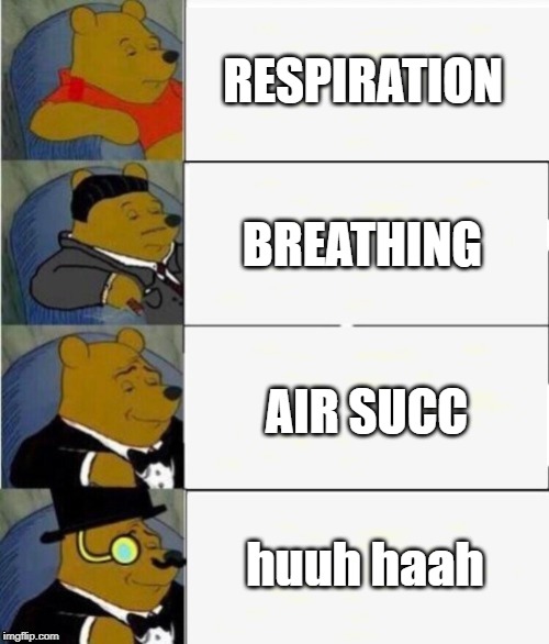Tuxedo Winnie the Pooh 4 panel | RESPIRATION; BREATHING; AIR SUCC; huuh haah | image tagged in tuxedo winnie the pooh 4 panel | made w/ Imgflip meme maker