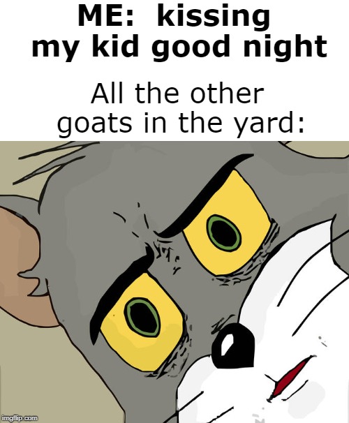 Somewhat disturbing,  yes? | ME:  kissing my kid good night; All the other goats in the yard: | image tagged in memes,unsettled tom | made w/ Imgflip meme maker