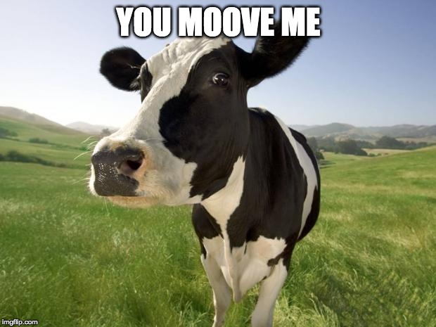 cow | YOU MOOVE ME | image tagged in cow | made w/ Imgflip meme maker