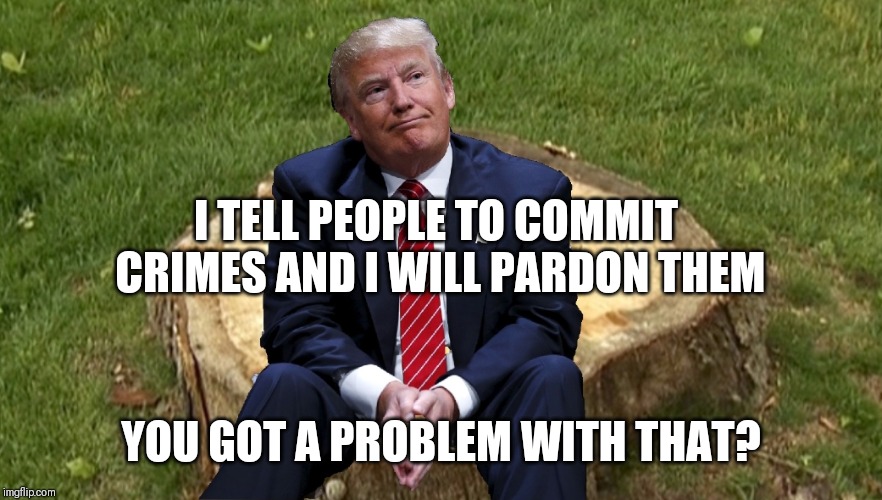 Trump on a stump | I TELL PEOPLE TO COMMIT CRIMES AND I WILL PARDON THEM; YOU GOT A PROBLEM WITH THAT? | image tagged in trump on a stump | made w/ Imgflip meme maker