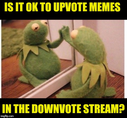 IS IT OK TO UPVOTE MEMES; IN THE DOWNVOTE STREAM? | made w/ Imgflip meme maker