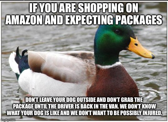 Actual Advice Mallard Meme | IF YOU ARE SHOPPING ON AMAZON AND EXPECTING PACKAGES; DON’T LEAVE YOUR DOG OUTSIDE AND DON’T GRAB THE PACKAGE UNTIL THE DRIVER IS BACK IN THE VAN. WE DON’T KNOW WHAT YOUR DOG IS LIKE AND WE DON’T WANT TO BE POSSIBLY INJURED. | image tagged in memes,actual advice mallard,AdviceAnimals | made w/ Imgflip meme maker