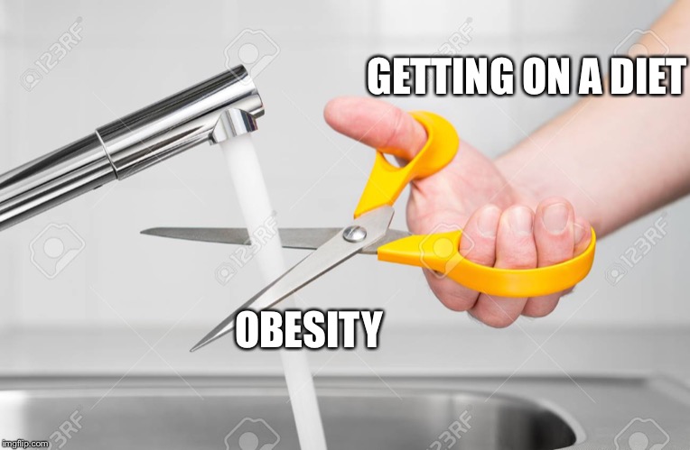 cutting water with scissors | GETTING ON A DIET; OBESITY | image tagged in cutting water with scissors | made w/ Imgflip meme maker