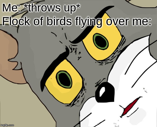Unsettled Tom Meme | Me: *throws up*; Flock of birds flying over me: | image tagged in memes,unsettled tom | made w/ Imgflip meme maker