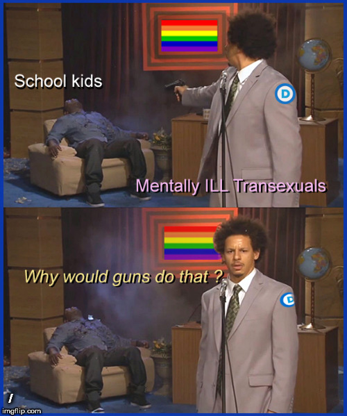 why would they do that ? | / | image tagged in trannys,highland ranch shooting,stem school shooters,political meme,lol so funny,memes | made w/ Imgflip meme maker