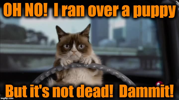 OH NO!  I ran over a puppy; But it's not dead!  Dammit! | made w/ Imgflip meme maker
