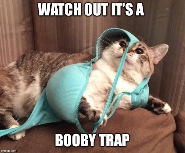 booby trap | WATCH OUT IT’S A; BOOBY TRAP | image tagged in booby trap | made w/ Imgflip meme maker