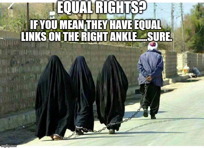 Wife Walking Is So Islumic | EQUAL RIGHTS? IF YOU MEAN THEY HAVE EQUAL LINKS ON THE RIGHT ANKLE.....SURE. | image tagged in wife walking is so islumic | made w/ Imgflip meme maker