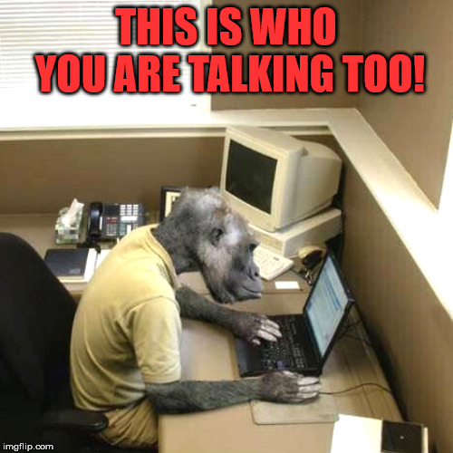Monkey Business Meme | THIS IS WHO YOU ARE TALKING TOO! | image tagged in memes,monkey business | made w/ Imgflip meme maker
