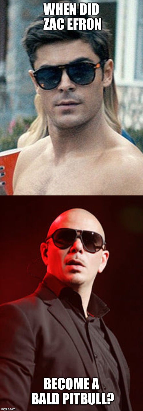 The truth comes out | WHEN DID ZAC EFRON; BECOME A BALD PITBULL? | image tagged in fun,celebrity,zac efron,pitbull | made w/ Imgflip meme maker