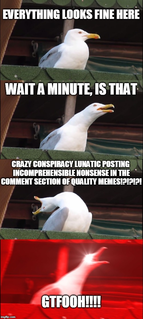 Inhaling Seagull Meme | EVERYTHING LOOKS FINE HERE WAIT A MINUTE, IS THAT CRAZY CONSPIRACY LUNATIC POSTING INCOMPREHENSIBLE NONSENSE IN THE COMMENT SECTION OF QUALI | image tagged in memes,inhaling seagull | made w/ Imgflip meme maker