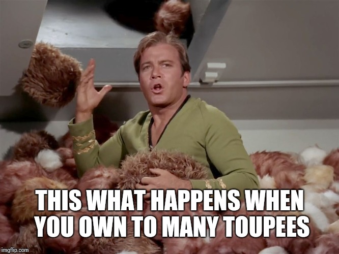 Star Trek Kirk Tribbles | THIS WHAT HAPPENS WHEN YOU OWN TO MANY TOUPEES | image tagged in star trek kirk tribbles | made w/ Imgflip meme maker
