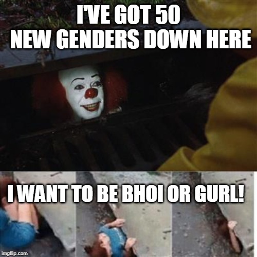 pennywise in sewer | I'VE GOT 50 NEW GENDERS DOWN HERE; I WANT TO BE BHOI OR GURL! | image tagged in pennywise in sewer | made w/ Imgflip meme maker