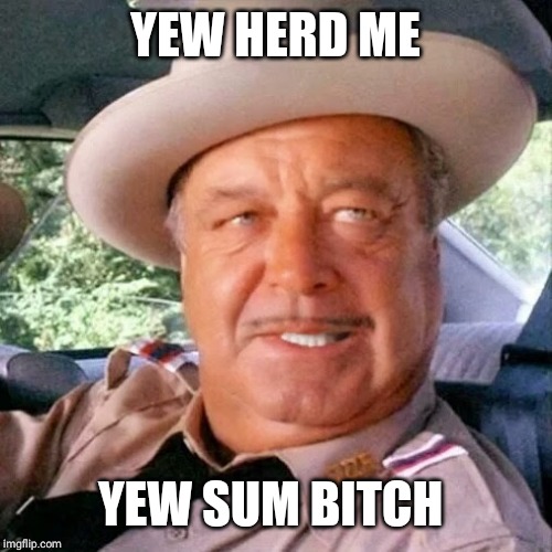 Sheriff Buford T. Justice You Sum Bitch | YEW HERD ME YEW SUM B**CH | image tagged in sheriff buford t justice you sum bitch | made w/ Imgflip meme maker